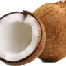 coconut